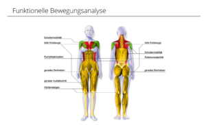 Funktionelle Bewegungsanalyse