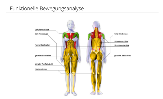 Funktionelle Bewegungsanalyse